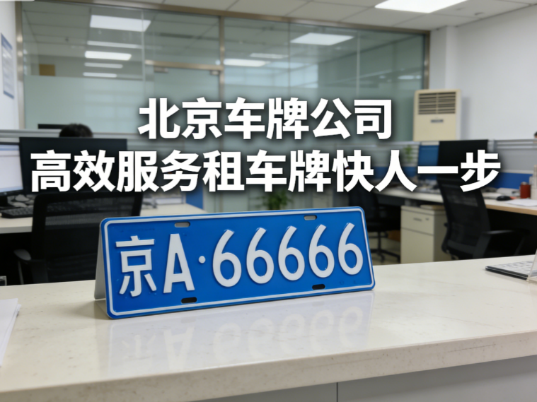 北京市机动车非法占用指标申诉路径：官方办事流程与证据要求