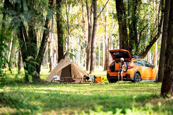 京牌出租一年三年五年租赁费用是多少