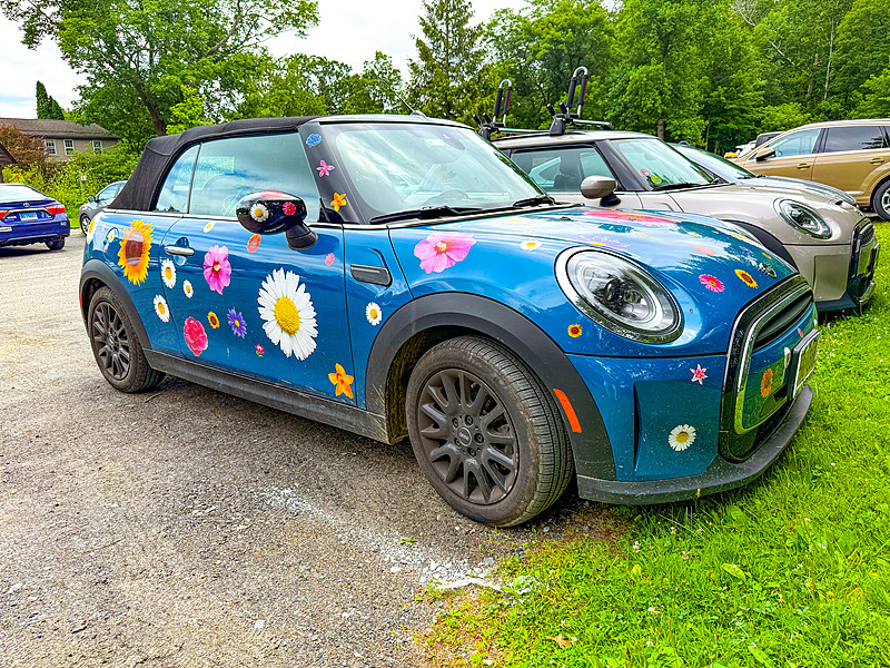 国家能源局21日宣布，我国电动汽车充电设施数量达2009.2万个